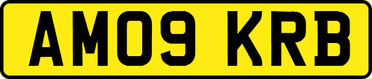AM09KRB