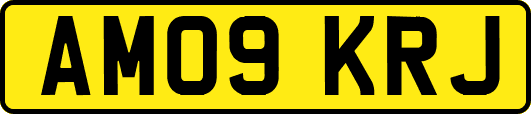 AM09KRJ