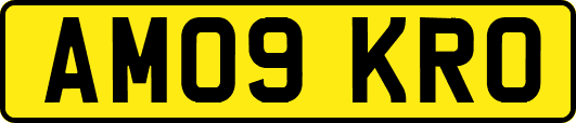 AM09KRO