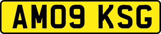 AM09KSG