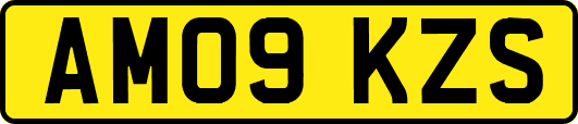 AM09KZS