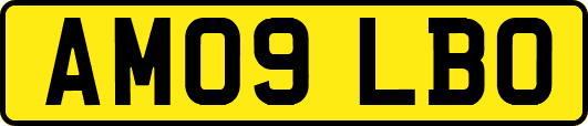 AM09LBO