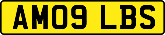 AM09LBS