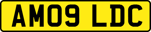 AM09LDC