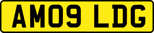 AM09LDG