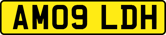 AM09LDH