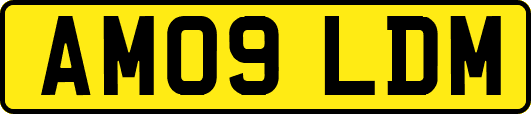 AM09LDM
