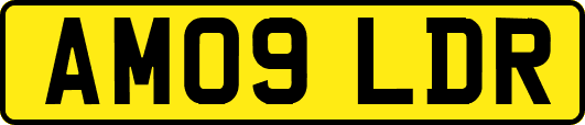 AM09LDR