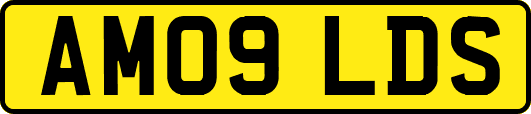 AM09LDS