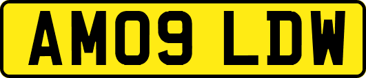 AM09LDW