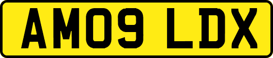 AM09LDX
