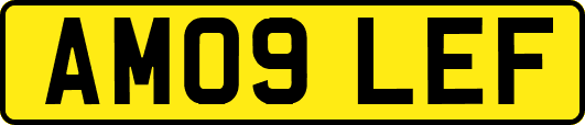 AM09LEF