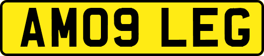 AM09LEG