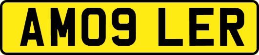 AM09LER