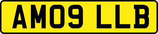 AM09LLB