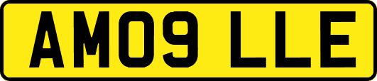 AM09LLE