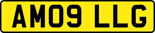 AM09LLG