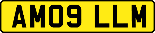 AM09LLM