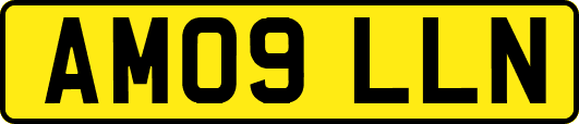AM09LLN