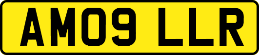 AM09LLR