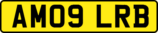 AM09LRB