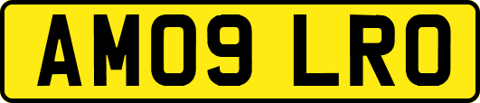 AM09LRO