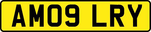AM09LRY