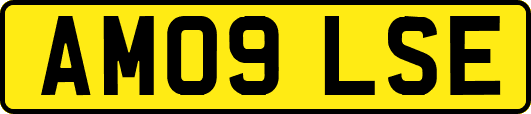 AM09LSE