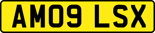 AM09LSX