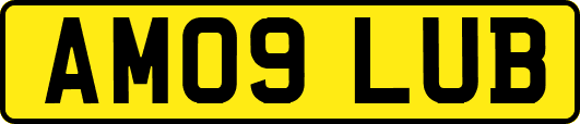 AM09LUB