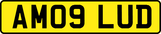 AM09LUD