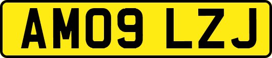 AM09LZJ