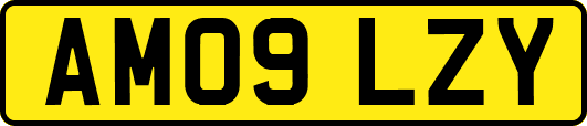 AM09LZY
