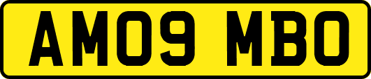 AM09MBO