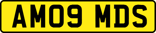 AM09MDS