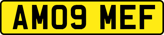AM09MEF
