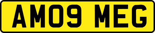 AM09MEG