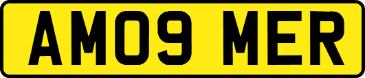 AM09MER