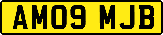 AM09MJB