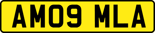 AM09MLA