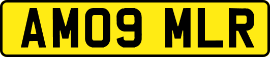 AM09MLR