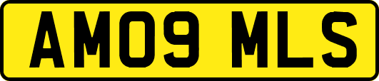 AM09MLS