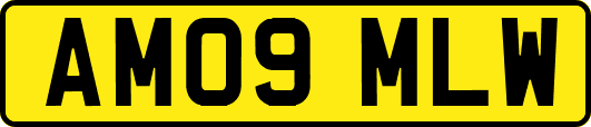AM09MLW
