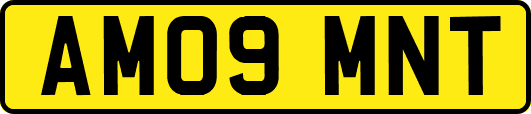 AM09MNT