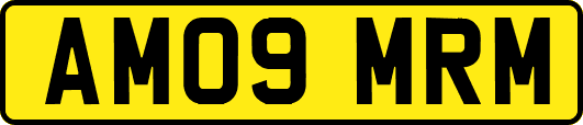 AM09MRM