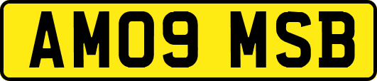 AM09MSB