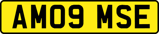 AM09MSE