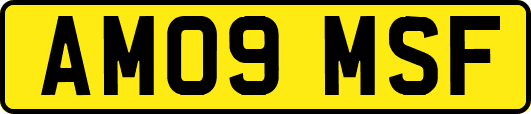 AM09MSF