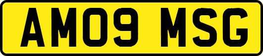 AM09MSG