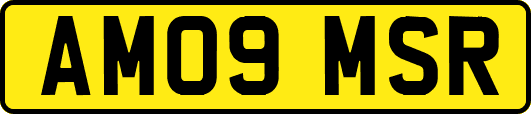 AM09MSR